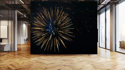 fireworks Wall mural