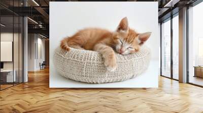 A sleepy kitten curled up in a small bed against  Wall mural