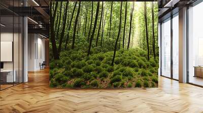 forest, tree, nature, green, landscape, wood, jungle, natural Wall mural