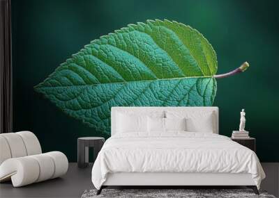 Green Leaf Close Up Texture  Nature Background  Plant Detail Wall mural