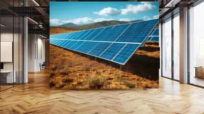 Solar Panels In Field With Blue Sky And Clouds Wall mural