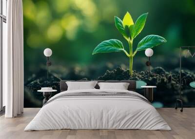 Young Plant Growing From Soil With Coins Wall mural