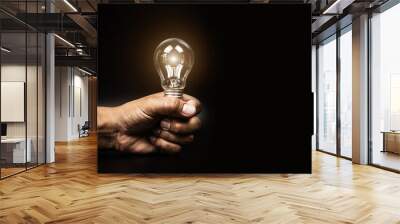 Close up hand choose light bulb or lamp for human resources or leadership and creativity thinking idea motivation or vision and knowledge learning and study or education concept. Wall mural