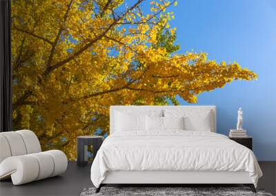 Ginkgo 2 Wall mural