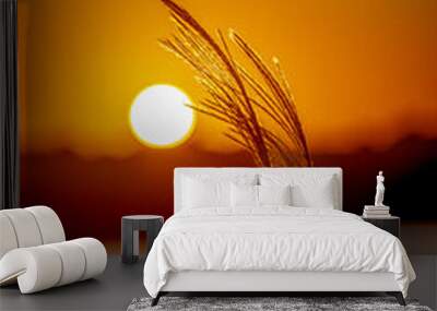 wheat field at sunset Wall mural