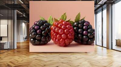 3D render of two tone blackberries isolated on light orange backdrop, fruit Wall mural