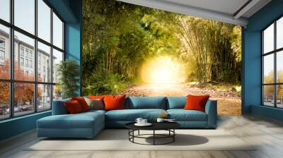 road through bamboo forest and light end the end of tunnel - concept Wall mural