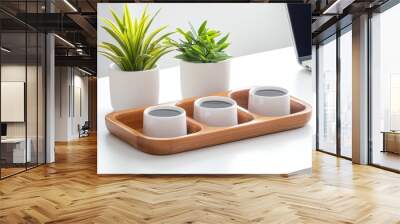 Three White Cups on a Bamboo Tray with Two Green Plants Wall mural