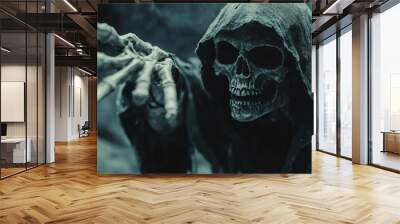 A skeleton in a robe Wall mural