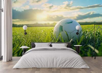 soccer ball resting on lush grass Wall mural