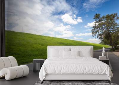 Road with green grass field under white clouds and blue sky. Wall mural