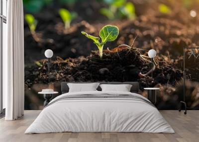 A close-up of soil with organic matter, earthworms, and young plants sprouting, symbolizing soil regeneration and health Rich Wall mural