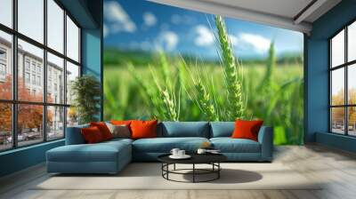 Close-up of lush green wheat field with blue sky and clouds in the background, capturing the essence of natural agriculture and growth. Wall mural