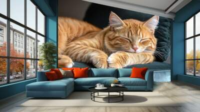 A peaceful orange cat resting comfortably on a plush couch, embodying serenity and relaxation in a cozy home environment. Wall mural