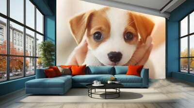 Adorable puppy in a gentle embrace, showcasing features of cuteness and companionship, highlighting love for pets. pet training concept. Wall mural