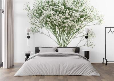 Delicate Bouquet of White Baby's Breath Flowers, isolated, transparent background, white background, no background Wall mural