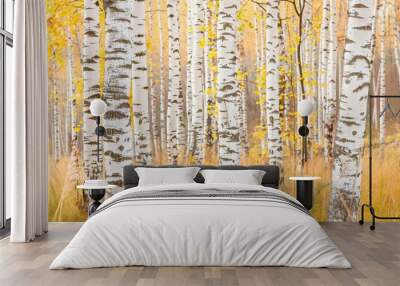 Serene Autumn Birch Trees with White Bark Wall mural