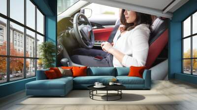  Car seat belts Wall mural