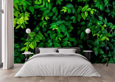 tropical leaves, abstract green leaves texture, nature background Wall mural