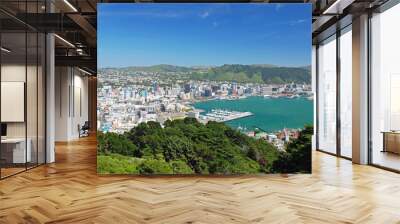 Wellington, capital of New Zealand Wall mural