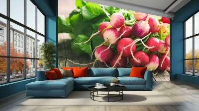 Bunch of fresh radishes Wall mural