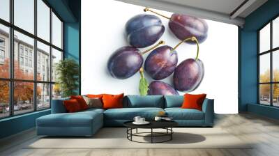 Fresh blue plums. Wall mural