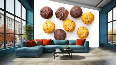 the tasty muffins with chocolate. Wall mural