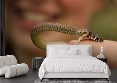 Snake biting a girl on her finger. Funny picture of the person handling a young Balkan whip snake - a mildly venomous animal harmless to humans. Wall mural