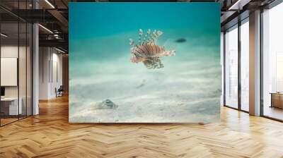 Lionfish Wall mural