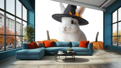 A white rabbit wearing a black witch hat, surrounded by small pumpkins and other Halloween-themed decorations Wall mural