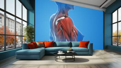 Female shoulder muscle pain and injury Wall mural