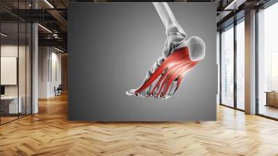 Plantar fascia dysfunction medical animation Wall mural