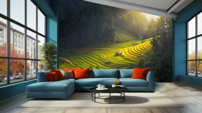 Sunrise and Beautiful nature  rice fields on terraced of Vietnam. Rice fields prepare the harvest at Northwest Vietnam.Vietnam landscapes. Wall mural