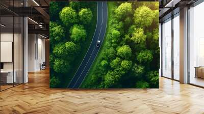 Lush green scenic winding road with electric vehicle and cinematic lighting  Aerial top down view of a serene forest landscape with a clean curving path leading through the verdant foliage Wall mural