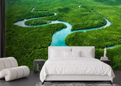 Aerial view of mangrove forest ecosystem at Phang Nga, Thailand Wall mural