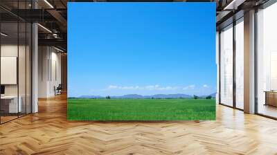 Green field view with sky clouds Wall mural