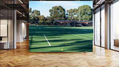 Selective focus to white lines on green grass football fields Wall mural