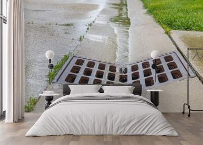 Closeup of rain water running down street gutter and flowing into storm sewer system drainage grate Wall mural