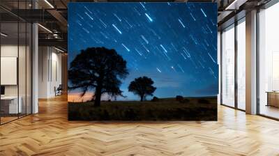 Mesmerizing view of a meteor shower lighting up the night sky Wall mural