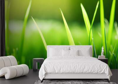 Macro of fresh green grass with a softly blurred background Wall mural