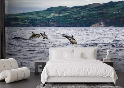 Dolphins jumping in the sea at Sao Miguel Island in the Azores. Delphinus delphis Wall mural