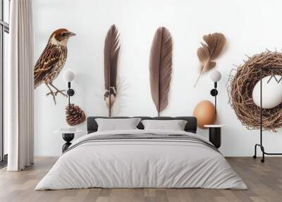 A collection of feathers, a bird, and eggs arranged on a white isolated background. Wall mural