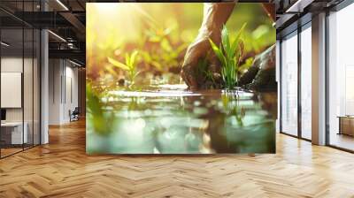 A person plants seedlings in a lush, wet environment, showcasing dedication to nurturing growth and nature's beauty. Wall mural