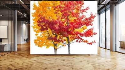 A photo of two trees with yellow and red leaves on a white background. Wall mural