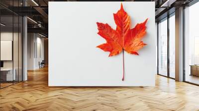 A vibrant maple leaf against a pristine white backdrop Wall mural