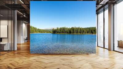 view of west tensleep lake in wyoming Wall mural