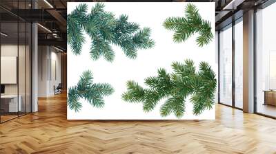 Realistic vector Christmas isolated tree branches. Blue and green fir Wall mural