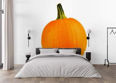 orange pumpkin isolated on a white background Wall mural