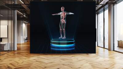 Hologram Man anatomy and skeleton on pedestal. ,3D rendering 
	
 Wall mural