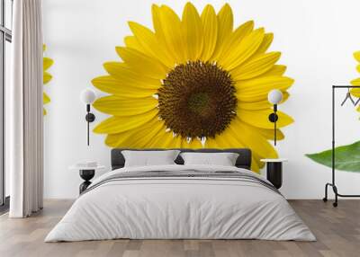 sunflowers clipart png Wall mural